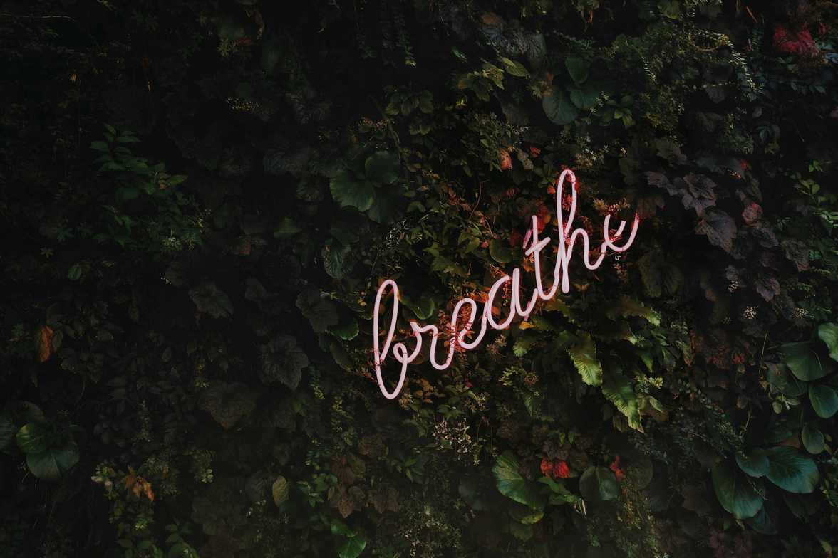 green wall with pink word "breathe"